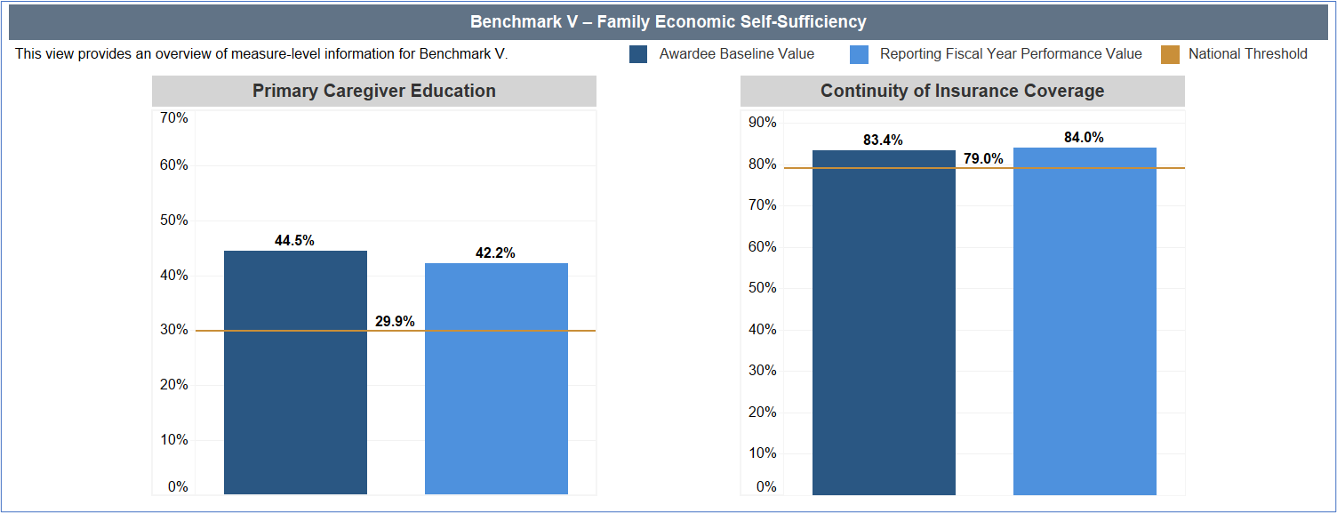Benchmark V Family Economic Self Sufficiency