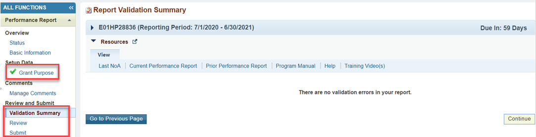 Screenshot of the Report Validation Summary