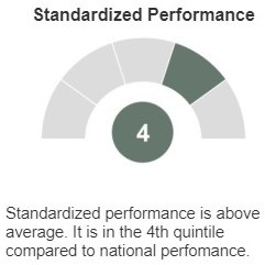 Screenshot of the Standardized Performance gauge