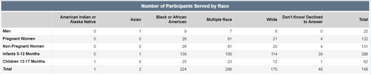 Screenshot of the Number of Participants Served by Race Table