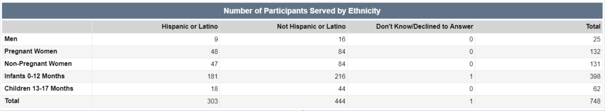 Screenshot of the Number of Participants Served by Ethnicity Table