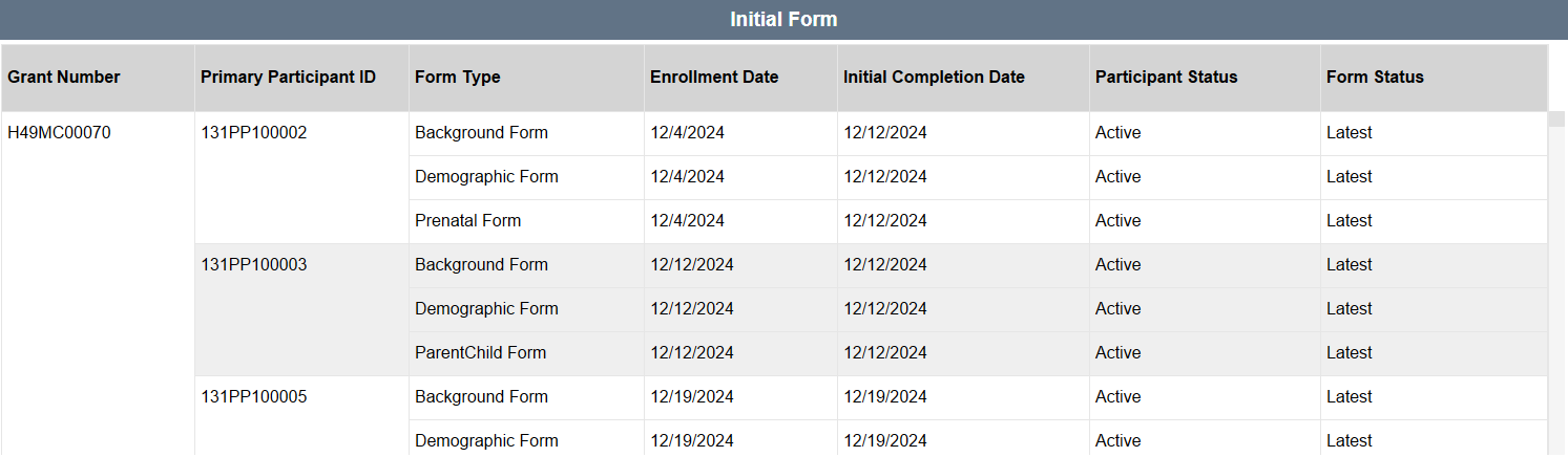 Screenshot of Initial Form Table
