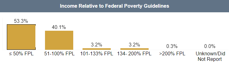 Screenshot of the Income Relative to Federal Poverty Guidelines Dashboard Visualization
