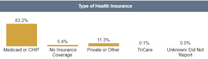 Screenshot of the Type of Health Insurance Dashboard Visualization