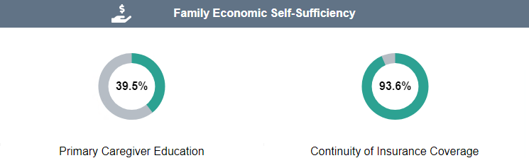 Screenshot of the Family Economic Self Sufficiency Dashboard Visualization