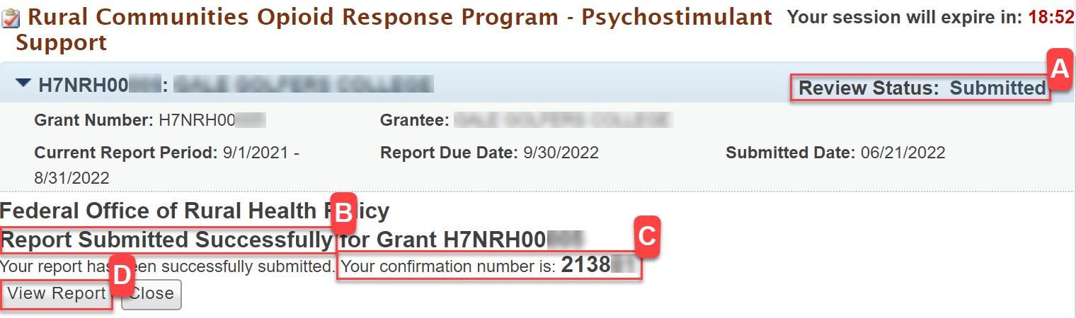 Screenshot highlighting Submitted Status, success message, Confirmation number, and View Report button,