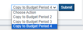 Screenshot of Budget Period Selection