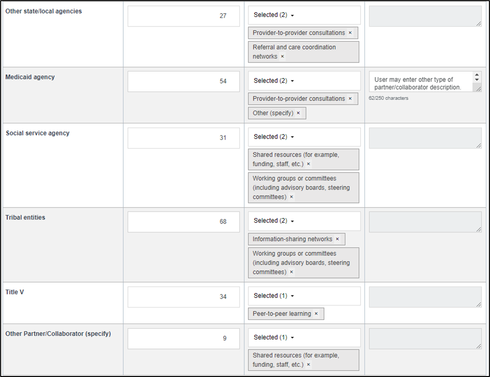 Screenshot of Partnership-Collaboration Details in the reporting period - 2