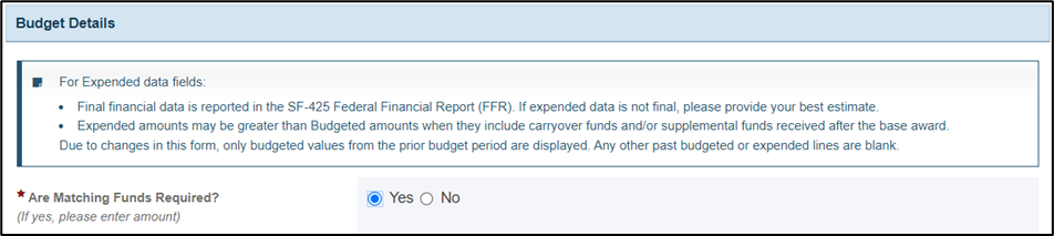 screenshot of Budget details