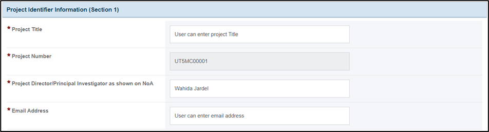 screenshot of Project Identifier Information
