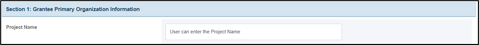 Screenshot of Project name