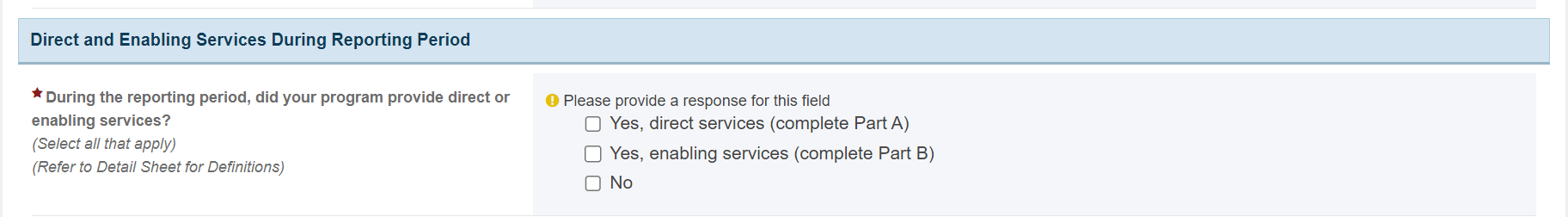 Screenshot of direct services during reporting period section