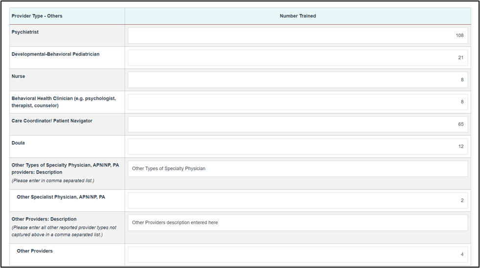 Screenshot of Provider type others field