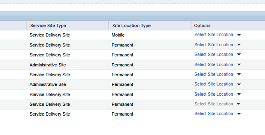 SCREEN SHOT SERVICE DELIVERY 